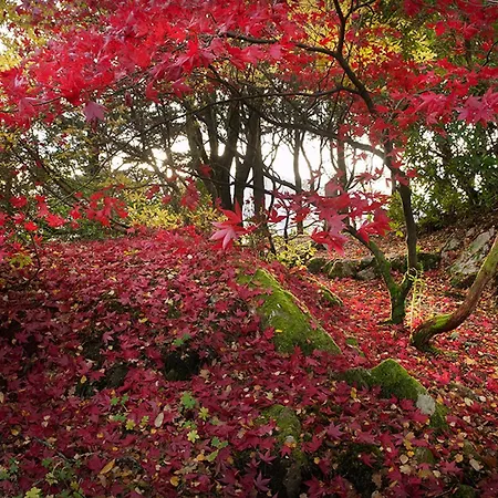 Ard Daraich Garden Studio Ardgour Exterior photo