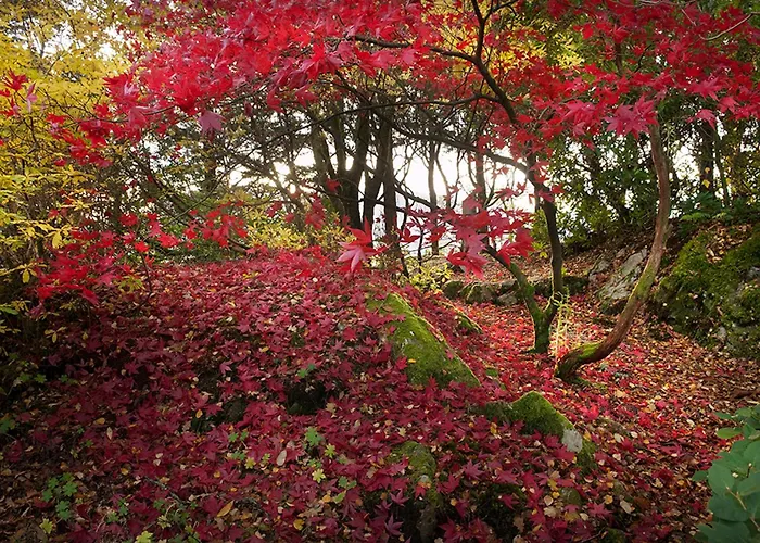 Ard Daraich Garden Studio